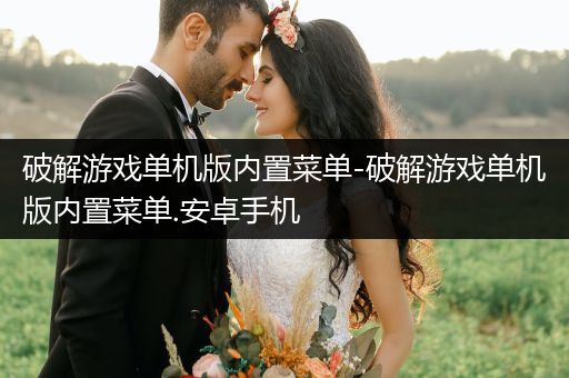 破解游戏单机版内置菜单-破解游戏单机版内置菜单.安卓手机