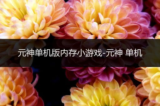 元神单机版内存小游戏-元神 单机