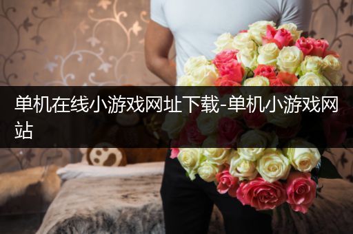 单机在线小游戏网址下载-单机小游戏网站