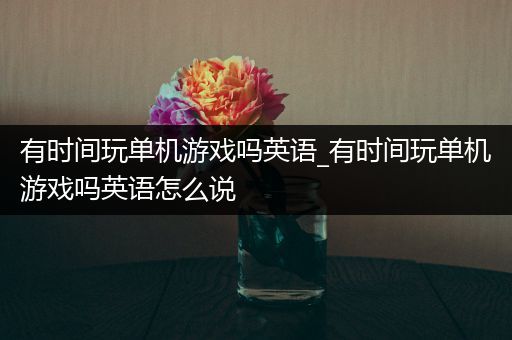 有时间玩单机游戏吗英语_有时间玩单机游戏吗英语怎么说