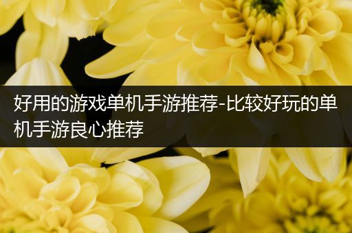 好用的游戏单机手游推荐-比较好玩的单机手游良心推荐