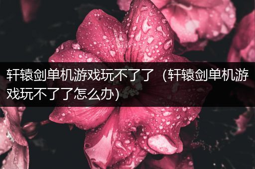 轩辕剑单机游戏玩不了了（轩辕剑单机游戏玩不了了怎么办）