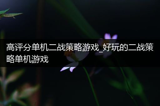 高评分单机二战策略游戏_好玩的二战策略单机游戏