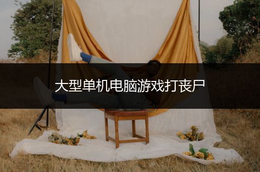 大型单机电脑游戏打丧尸