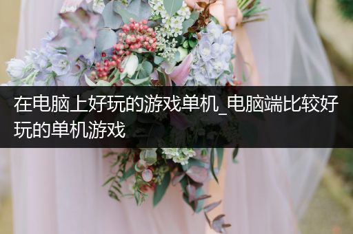 在电脑上好玩的游戏单机_电脑端比较好玩的单机游戏