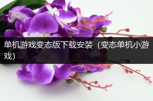 单机游戏变态版下载安装（变态单机小游戏）