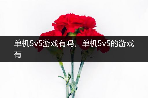 单机5v5游戏有吗，单机5v5的游戏有