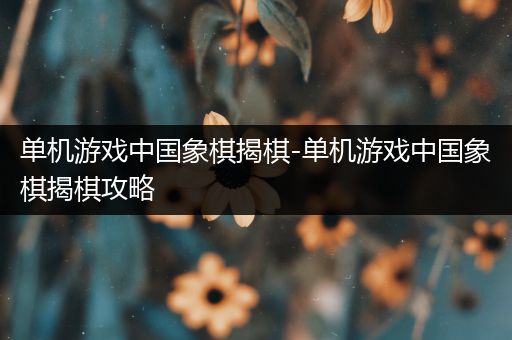 单机游戏中国象棋揭棋-单机游戏中国象棋揭棋攻略
