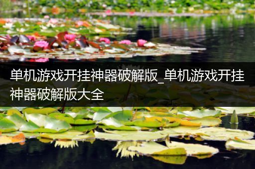 单机游戏开挂神器破解版_单机游戏开挂神器破解版大全