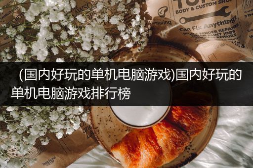 （国内好玩的单机电脑游戏)国内好玩的单机电脑游戏排行榜