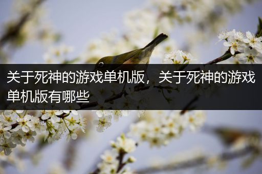 关于死神的游戏单机版，关于死神的游戏单机版有哪些