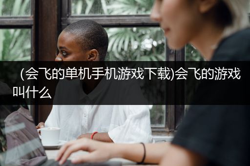 （会飞的单机手机游戏下载)会飞的游戏叫什么