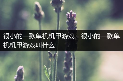 很小的一款单机机甲游戏，很小的一款单机机甲游戏叫什么
