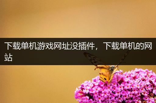 下载单机游戏网址没插件，下载单机的网站