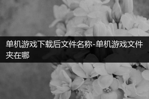 单机游戏下载后文件名称-单机游戏文件夹在哪