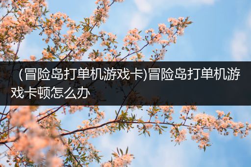 （冒险岛打单机游戏卡)冒险岛打单机游戏卡顿怎么办
