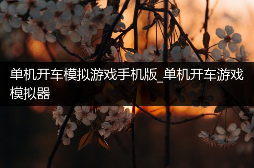 单机开车模拟游戏手机版_单机开车游戏模拟器