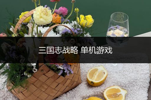 三国志战略 单机游戏