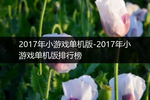 2017年小游戏单机版-2017年小游戏单机版排行榜