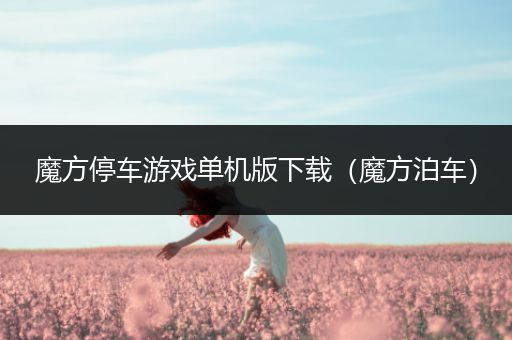 魔方停车游戏单机版下载（魔方泊车）