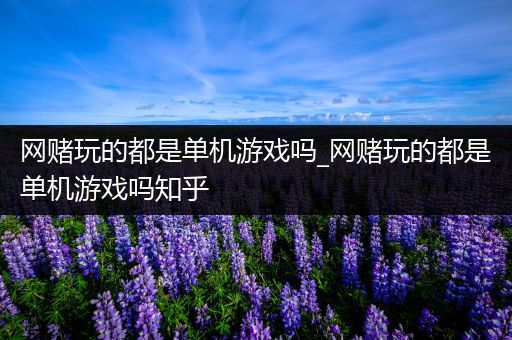 网赌玩的都是单机游戏吗_网赌玩的都是单机游戏吗知乎