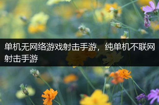 单机无网络游戏射击手游，纯单机不联网射击手游