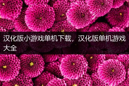 汉化版小游戏单机下载，汉化版单机游戏大全