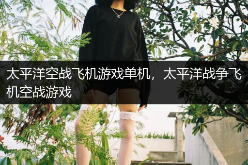 太平洋空战飞机游戏单机，太平洋战争飞机空战游戏