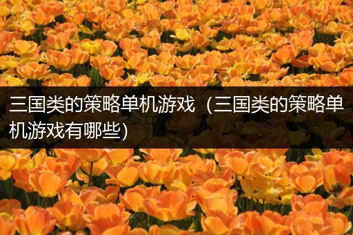 三国类的策略单机游戏（三国类的策略单机游戏有哪些）
