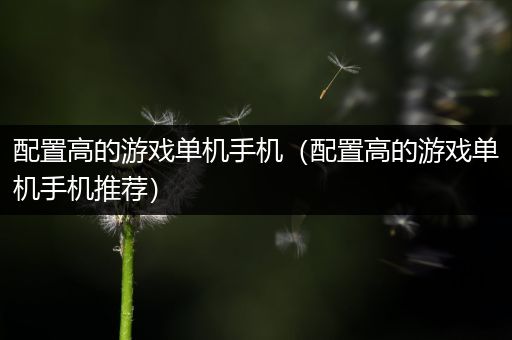 配置高的游戏单机手机（配置高的游戏单机手机推荐）