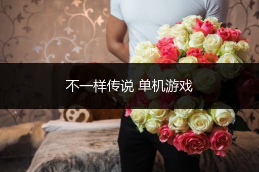 不一样传说 单机游戏