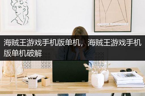 海贼王游戏手机版单机，海贼王游戏手机版单机破解