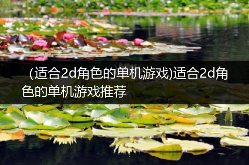 （适合2d角色的单机游戏)适合2d角色的单机游戏推荐