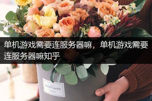 单机游戏需要连服务器嘛，单机游戏需要连服务器嘛知乎