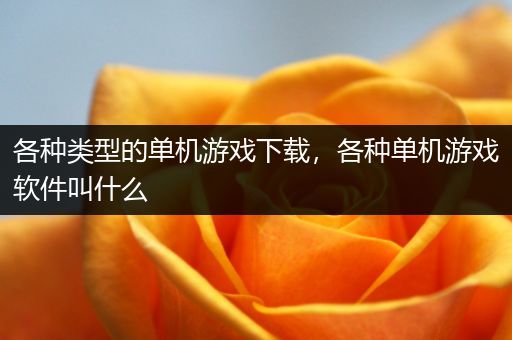 各种类型的单机游戏下载，各种单机游戏软件叫什么