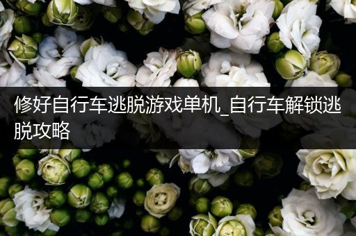 修好自行车逃脱游戏单机_自行车解锁逃脱攻略