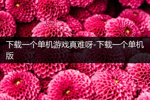 下载一个单机游戏真难呀-下载一个单机版