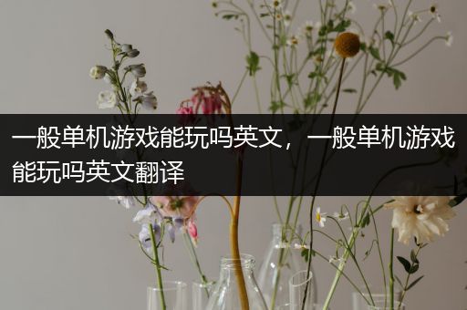一般单机游戏能玩吗英文，一般单机游戏能玩吗英文翻译