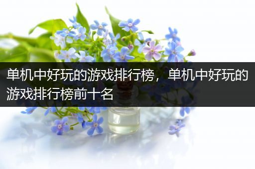 单机中好玩的游戏排行榜，单机中好玩的游戏排行榜前十名