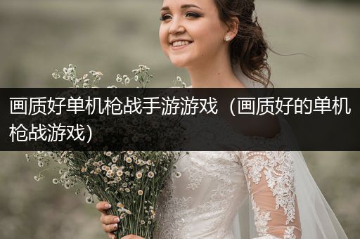 画质好单机枪战手游游戏（画质好的单机枪战游戏）