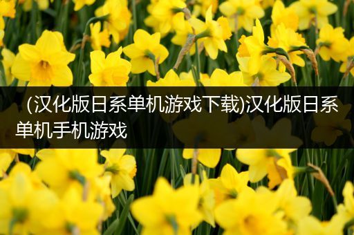 （汉化版日系单机游戏下载)汉化版日系单机手机游戏