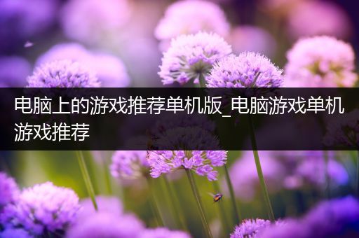 电脑上的游戏推荐单机版_电脑游戏单机游戏推荐