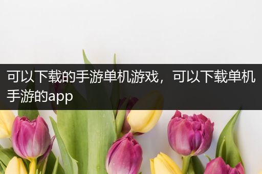 可以下载的手游单机游戏，可以下载单机手游的app
