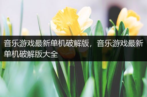 音乐游戏最新单机破解版，音乐游戏最新单机破解版大全