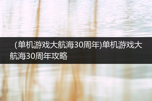 （单机游戏大航海30周年)单机游戏大航海30周年攻略