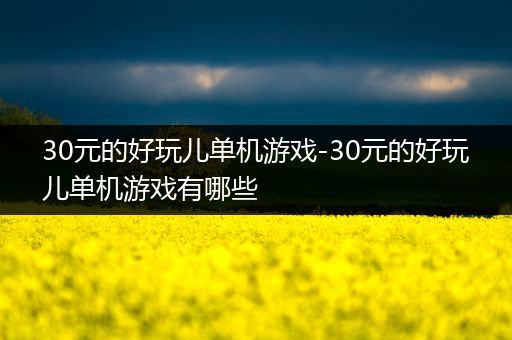 30元的好玩儿单机游戏-30元的好玩儿单机游戏有哪些
