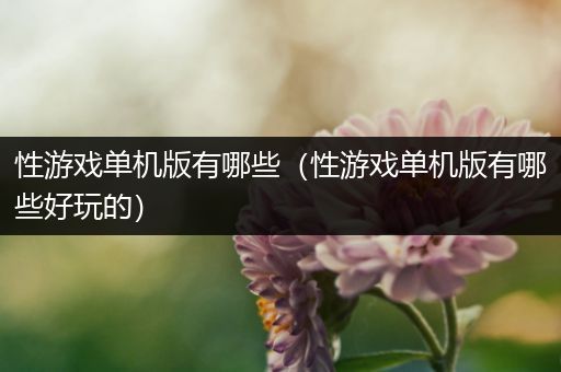 性游戏单机版有哪些（性游戏单机版有哪些好玩的）