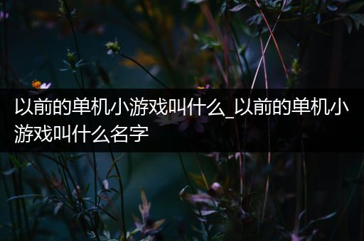 以前的单机小游戏叫什么_以前的单机小游戏叫什么名字