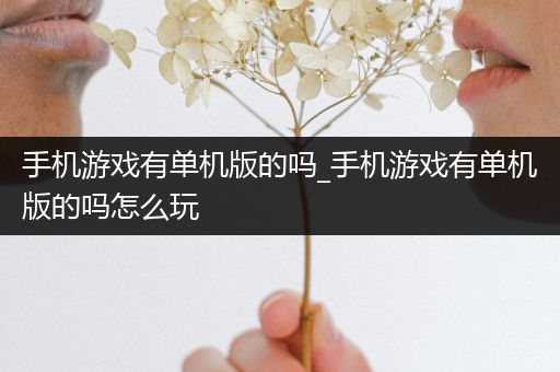 手机游戏有单机版的吗_手机游戏有单机版的吗怎么玩