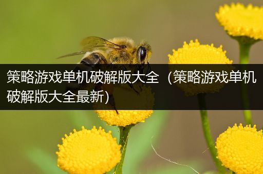 策略游戏单机破解版大全（策略游戏单机破解版大全最新）